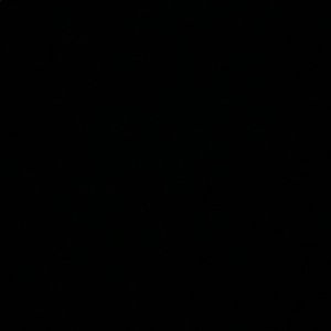 Meet your Posher, Jarae